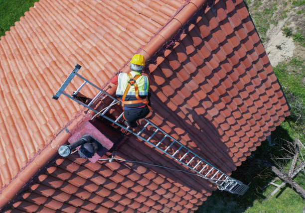 Best Solar Panel Roofing Installation  in Lockwood, MO